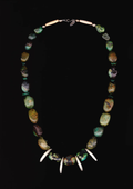 Turquoise & Wolf Teeth